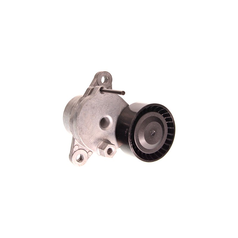 Napinacz paska wielorowkowego pasuje do: CITROEN JUMPER  PEUGEOT BOXER 2.0D 07.15-09.19