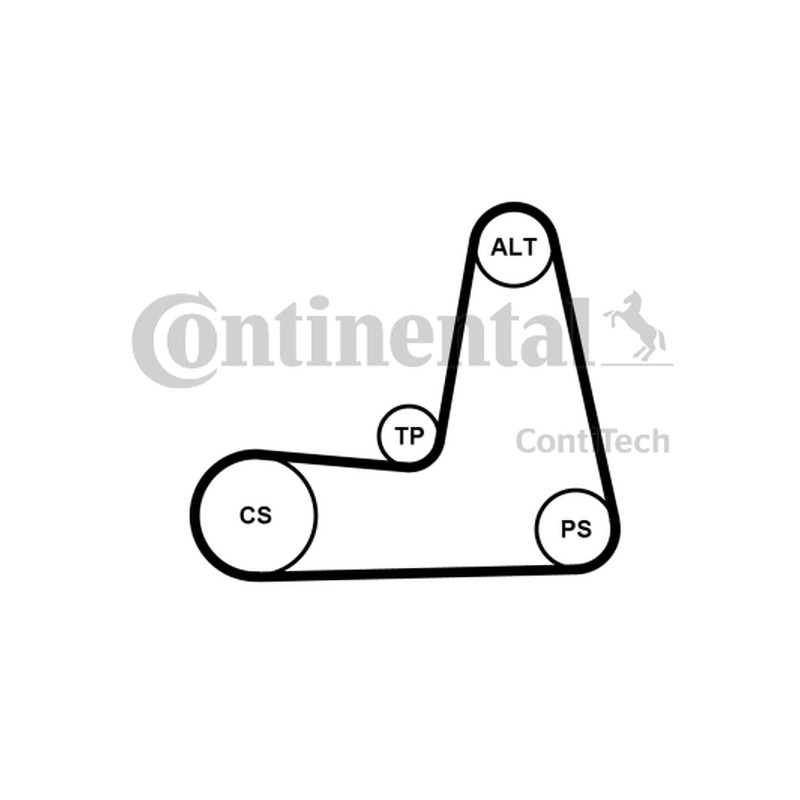ZESTAW PASKA WIELOROWK. RENAULT 1,4/1,6