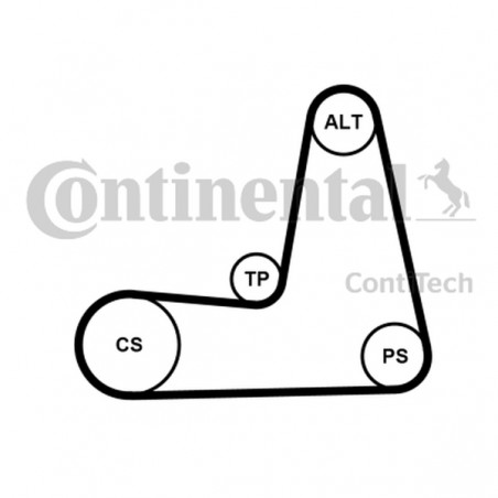 ZESTAW PASKA WIELOROWK. RENAULT 1,4/1,6