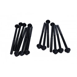 Zestaw śrub głowicy cylindrów pasuje do: BMW 3 (E90), 3 (E91), 3 (E92), 3 (E93), 3 (F30, F80), 3 (F31), 3 (G20, G80, G28), 3 (