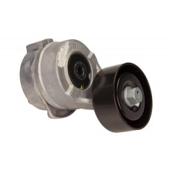 Napinacz paska wielorowkowego pasuje do: HYUNDAI H-1, H-1 / STAREX, H-1 CARGO, H-1 TRAVEL, H100, H350, PORTER  KIA BONGO, K250