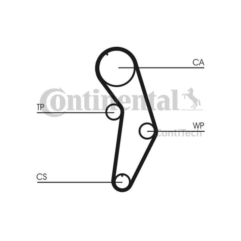 Rozrząd kpl. (pasek + rolka + pompa cieczy) pasuje do: AUDI A3, A4 B5, A4 B6, A4 B7  SEAT ALTEA, ALTEA XL, CORDOBA, EXEO, EXEO