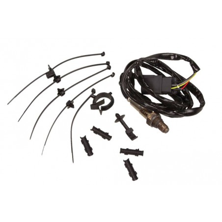 Sonda lambda (liczba przewodów 5, 1500mm) pasuje do: AUDI A3, A4 B5, A4 B6, A4 B7, A6 C5, A8 D3, TT  BENTLEY CONTINENTAL, CONT