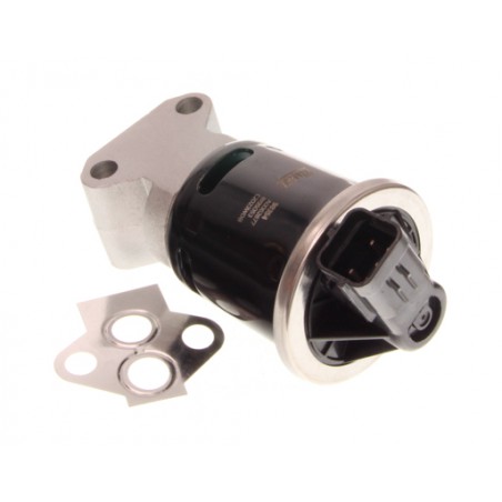 Zawór EGR pasuje do: CHEVROLET AVEO / KALOS 1.2 01.04-05.08