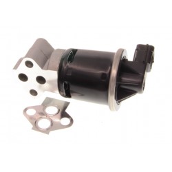 Zawór EGR pasuje do: CHEVROLET AVEO / KALOS 1.2 01.04-05.08