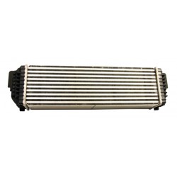 INTERCOOLER BMW X5 07-