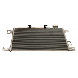 SKRAPLACZ KLIMATYZACJI DB C209/A209/W203/CL203