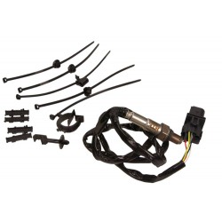 Sonda lambda (liczba przewodów 5, 1200mm) pasuje do: AUDI A4 B7, A6 ALLROAD C6, A6 C6, A8 D3, Q7, R8, R8 SPYDER  PORSCHE CAYEN
