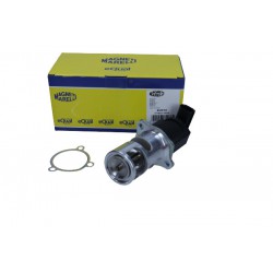 Zawór EGR pasuje do: NISSAN INTERSTAR, PRIMASTAR  OPEL MOVANO A, VIVARO A  RENAULT AVANTIME, ESPACE III, ESPACE IV, LAGUNA II,
