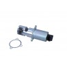 Zawór EGR pasuje do: NISSAN PRIMERA  RENAULT MEGANE II 1.9D 08.02-