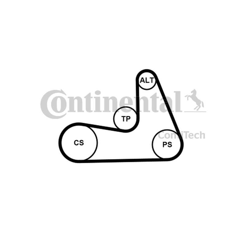 ZESTAW PASKA WIELOROWK. 5PK1121 EXTRA