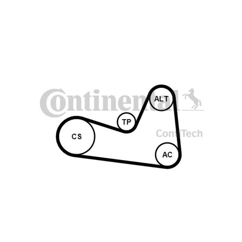 ZESTAW PASKA WIELOROWK. RENAULT 1,4/1,6