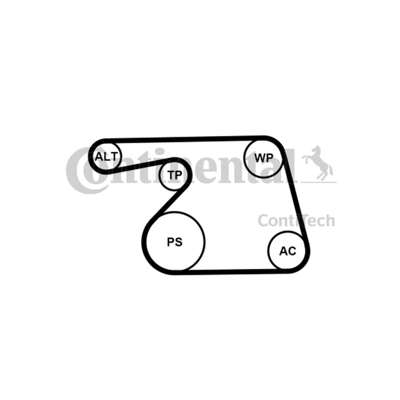 ZESTAW PASKA WIELOROWK. OPEL 1,3CDTI
