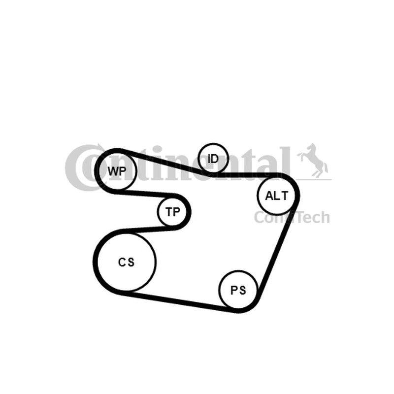 ZESTAW PASKA WIELOROWK. BMW E46 2,0-3,0