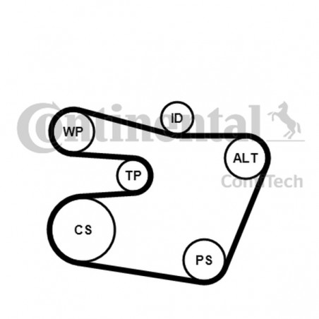 ZESTAW PASKA WIELOROWK. BMW E46 2,0-3,0