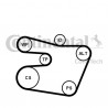ZESTAW PASKA WIELOROWK. BMW E46 2,0-3,0