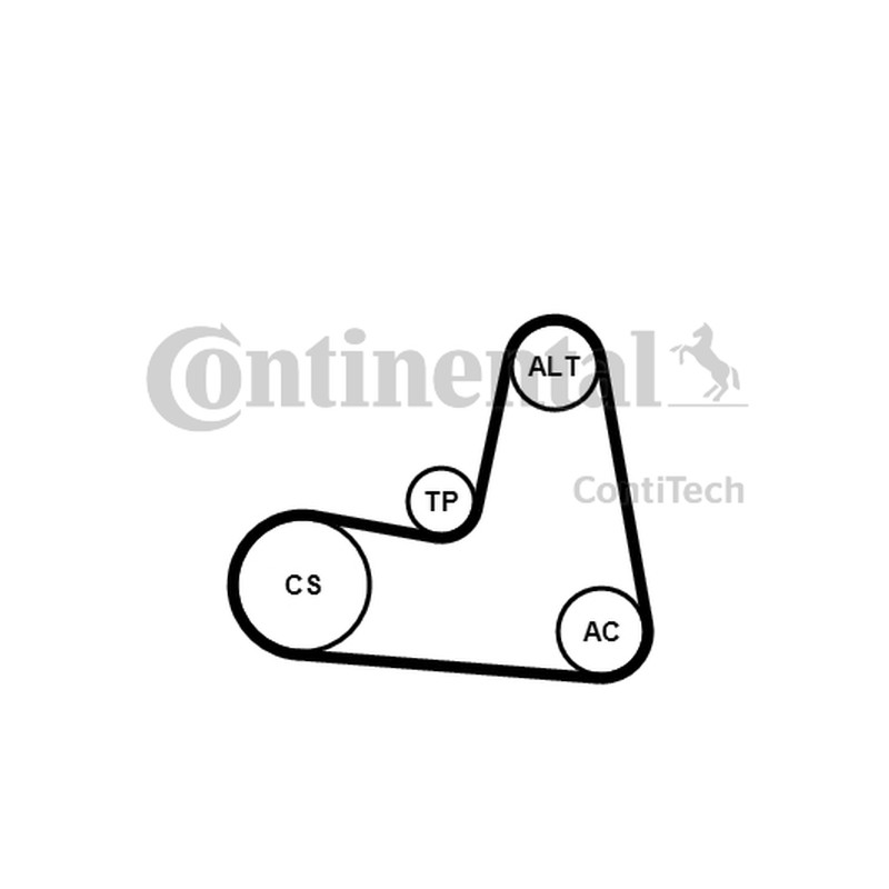 ZESTAW PASKA WIELOROWK. RENAULT 1,9DCI