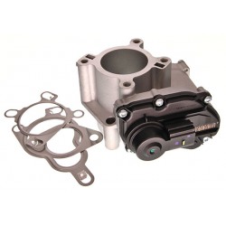 Zawór EGR pasuje do: NISSAN NV400, PRIMASTAR, X-TRAIL III  OPEL MOVANO B, VIVARO A  RENAULT ESPACE IV, GRAND SCENIC III, KOLEO