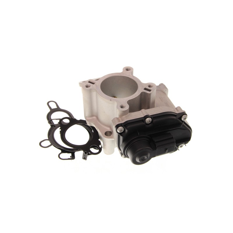 Zawór EGR pasuje do: NISSAN PRIMASTAR, QASHQAI I, X-TRAIL, X-TRAIL II  OPEL VIVARO A  RENAULT ESPACE IV, GRAND SCENIC II, KOLE