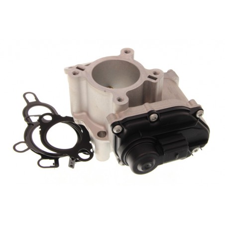 Zawór EGR pasuje do: NISSAN PRIMASTAR, QASHQAI I, X-TRAIL, X-TRAIL II  OPEL VIVARO A  RENAULT ESPACE IV, GRAND SCENIC II, KOLE