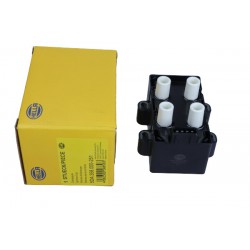 CEWKA ZAPŁONOWA RENAULT CLIO 2,0 16V 04-