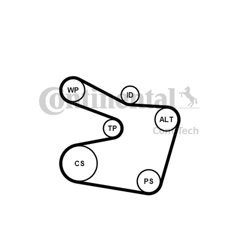 ZESTAW PASKA WIELOROWK. BMW 2,0-3,0 E39/E46