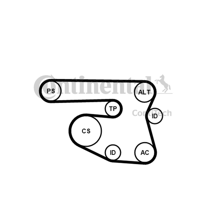 ZESTAW PASKA WIELOROWK. BMW E81/87 E46/90 1,6/2,0