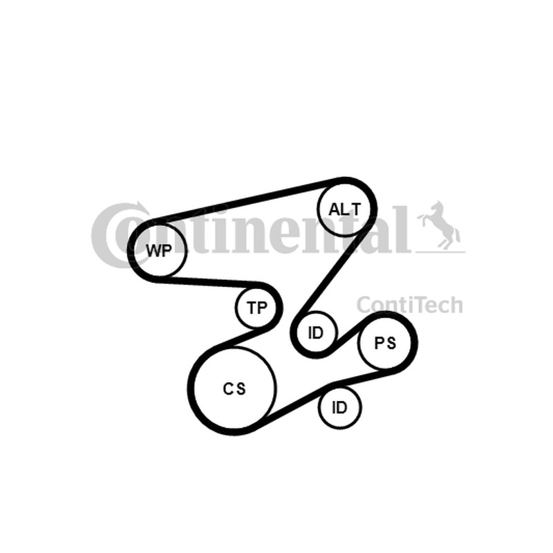 ZESTAW PASKA WIELOROWK. BMW E46/E60 2,0D/3,0D