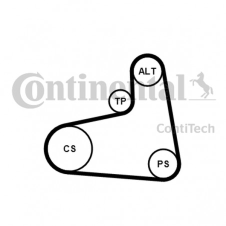 ZESTAW PASKA WIELOROWK. VW 1,9TDI/SDI