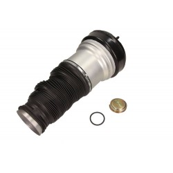 PODUSZKA POWIETRZNA DB P. W220 AIRMATIC