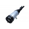 AMORTYZATOR DB T. W220 PNEUMATIC