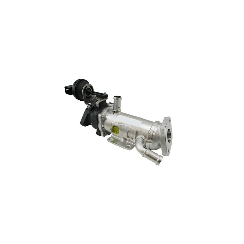 ZAWÓR EGR RENAULT 2,0DCI MEGANE II/ESPACE IV/LAGUNA III (MODUŁ)