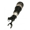 AMORTYZATOR AUDI P. A6 (C6) 05- PR PNEUMATIC