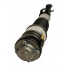 AMORTYZATOR AUDI P. A6 (C6) 05- PR PNEUMATIC