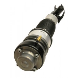 AMORTYZATOR AUDI P. A6 (C6) 05- LE PNEUMATIC