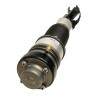 AMORTYZATOR AUDI P. A6 (C6) 05- LE PNEUMATIC