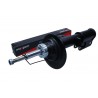 AMORTYZATOR BMW P. X5 PR 00-