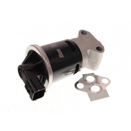 Zawór EGR pasuje do: CHEVROLET AVEO / KALOS, MATIZ  DAEWOO MATIZ 0.8/1.0/1.2 09.98-